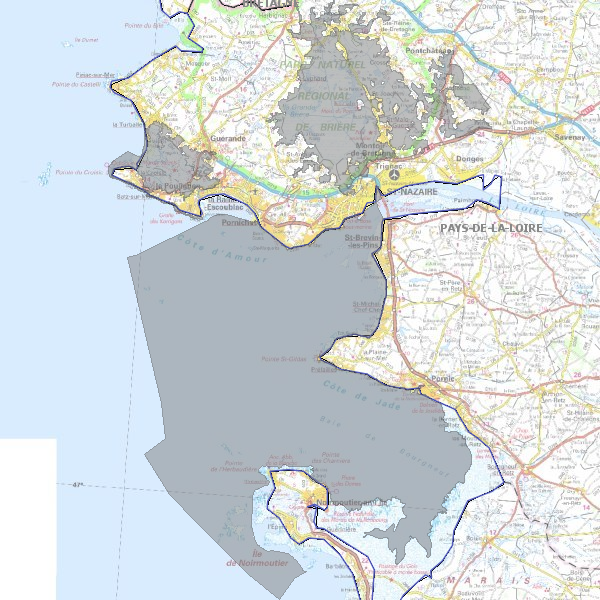overview