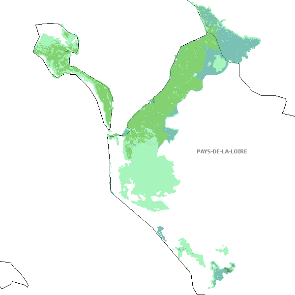 overview
